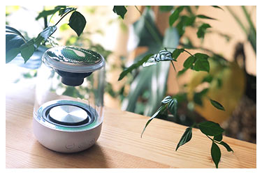 エクサ・レインボーゼロ（EXA-Rainbow 0）1個（単品）｜トータルヘルス