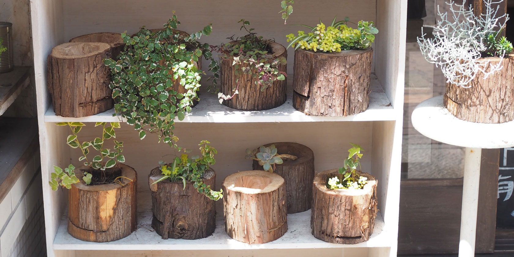 森のポット/丸太プランター | 木工房 moqu cOmo | 糸島くらし×ここのき