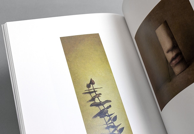 益村千鶴 FRUCTUS｜求龍堂