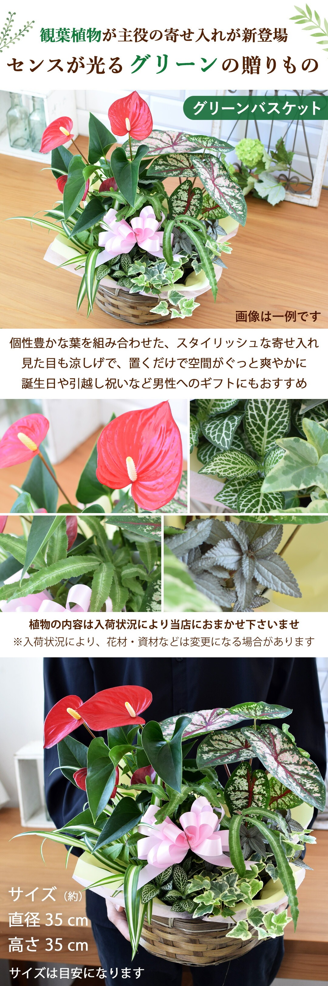 送料無料 季節のおまかせ花鉢とグリーンの寄せ入れ Lサイズ フラワー