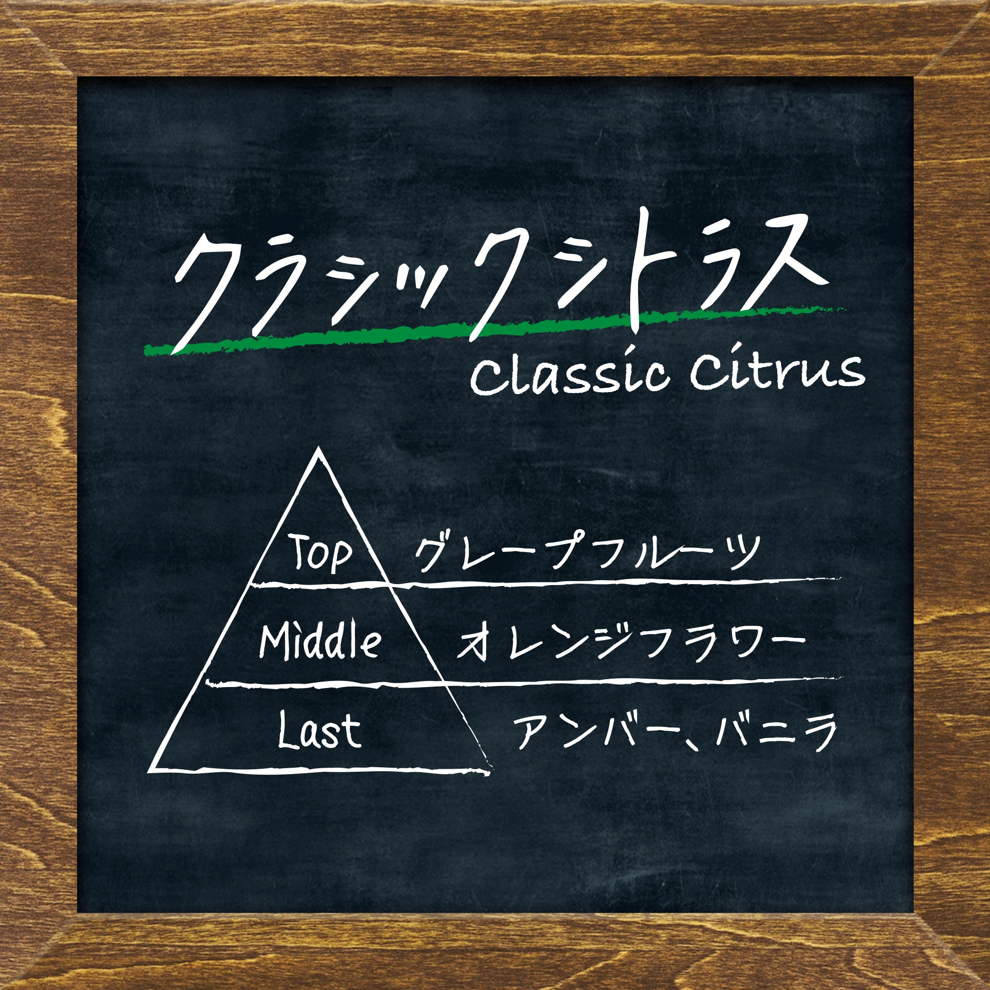 ボタニッシュ3個パック クラシックシトラス | カーデオドラント | 晴香堂