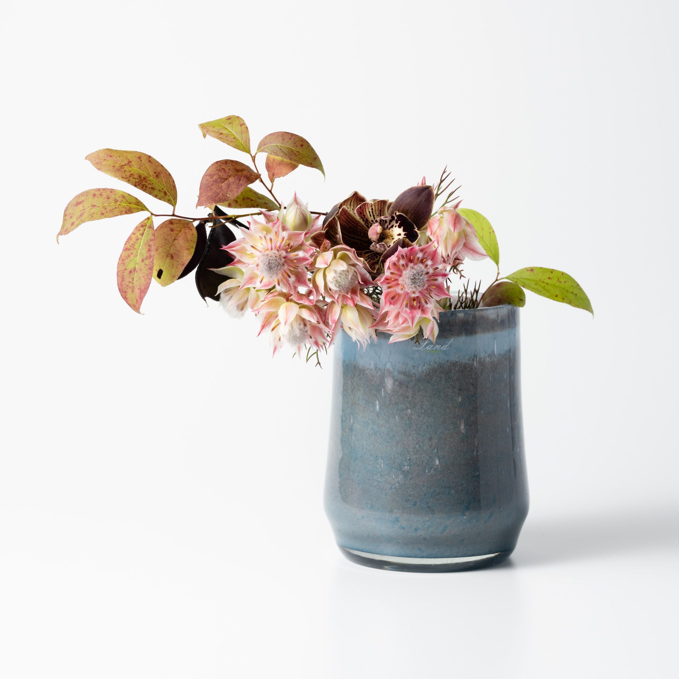 H.Clemence ラナイ