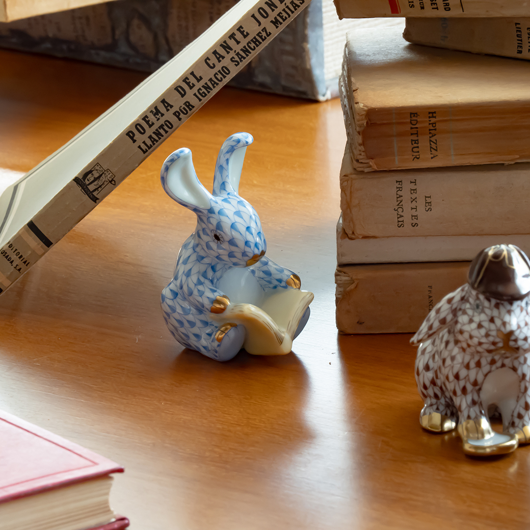 ワンダーパーク ブルー] リーディングバニー