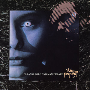 Vivisect Vi - Album by Skinny Puppy | Spotify