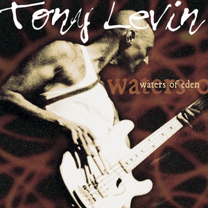 Stick Man - Album by Tony Levin | Spotify