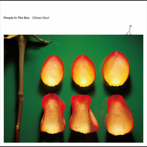 Camera Obscura - Album by People In The Box | Spotify
