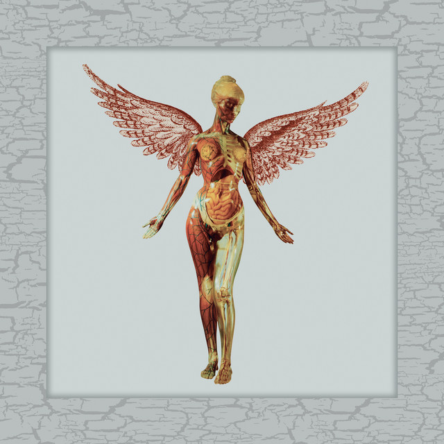 In Utero (30th Anniversary Super Deluxe) - Album by Nirvana | Spotify