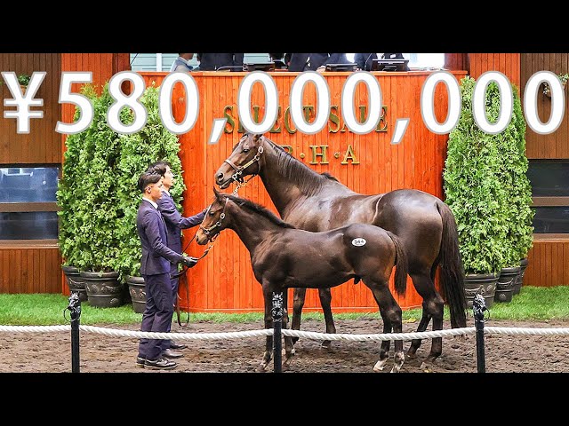 Midnight Bizou's 2025 was sold at the Select Sale 2025, tying for