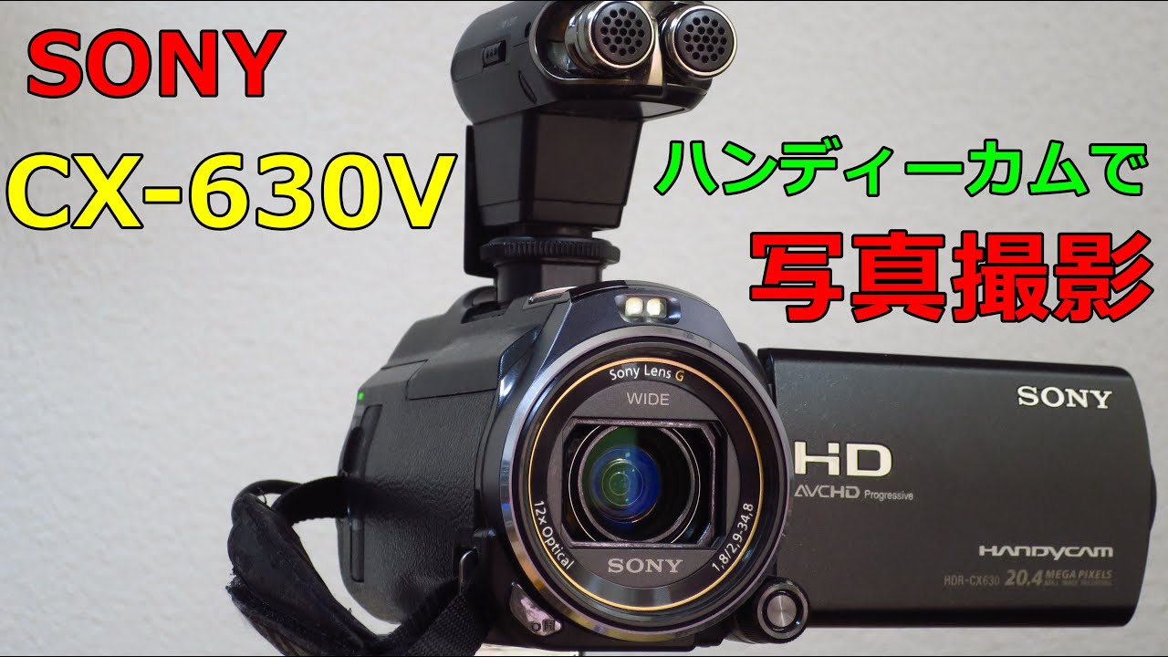 SONY ビデオカメラ HDR-CX630V ソニー ハンディーカム 【公式通販】