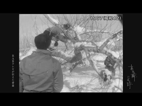 あの瞬この時 - YouTube