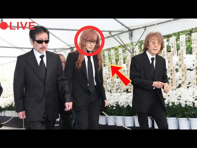 45th Anniversary Best Hit Alfee Final 2018 冬ノ巻 Château of The