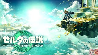 ゼルダの伝説 ティアーズ オブ ザ キングダム】 #6 - YouTube