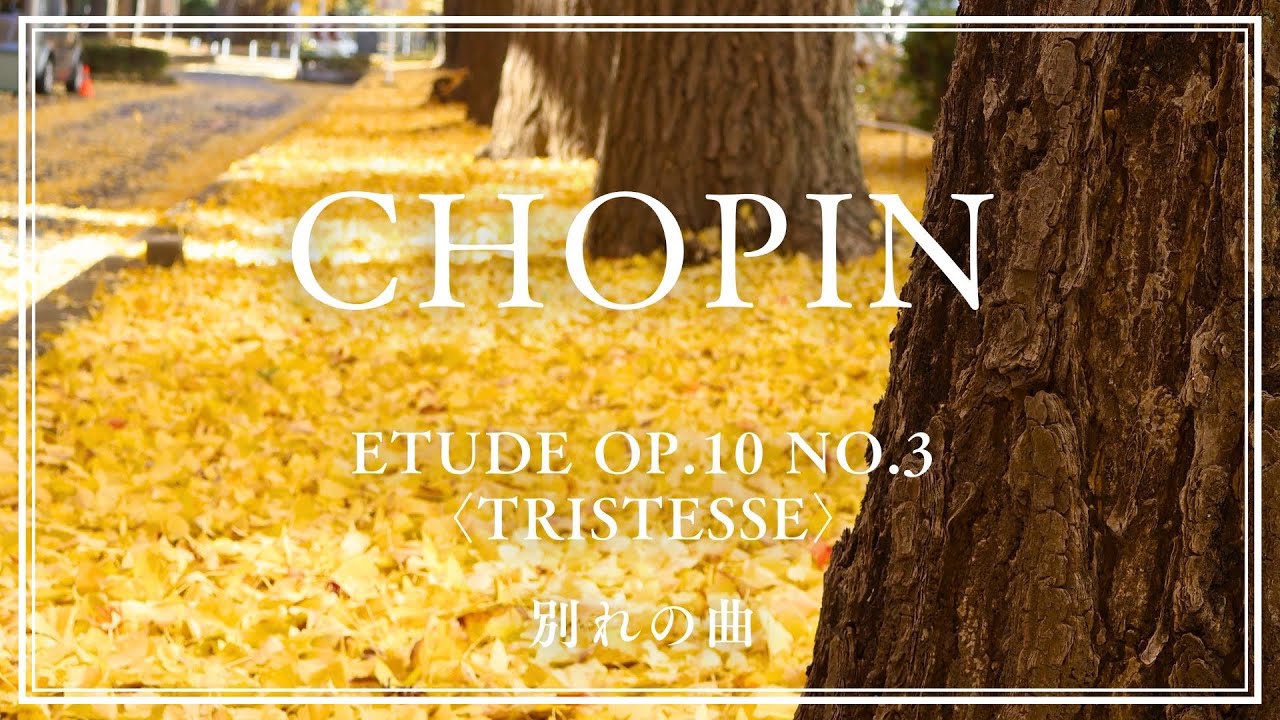 CHOPIN】Etude Op.10 No.3 〈Tristesse〉/ショパン 別れの曲 - YouTube