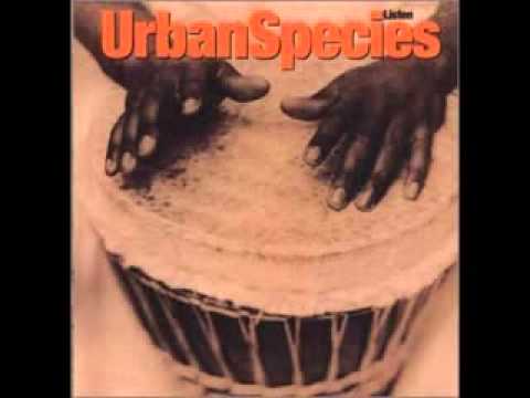 Urban Species - Spiritual Love - YouTube