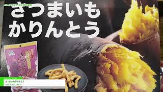 18th Agrifood EXPO Tokyo 2025] Sweet Potato Karinto - JA Namegata