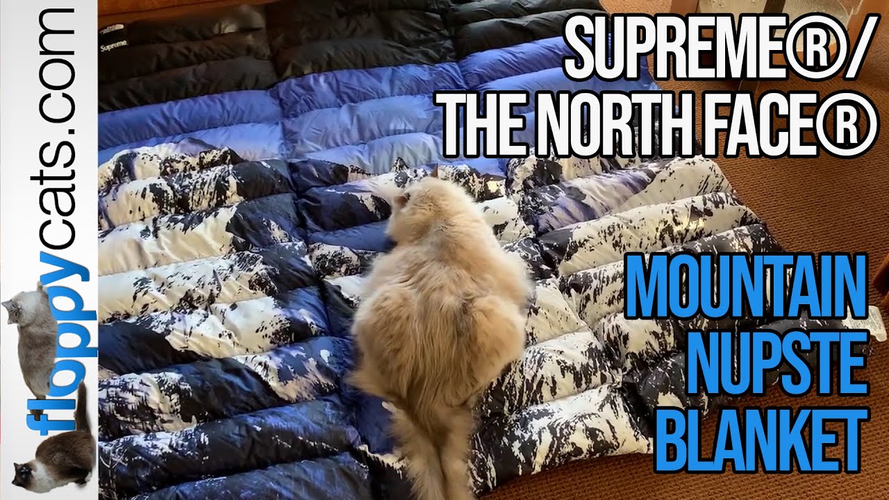 Supreme X North Face Mountain Nuptse Blanket + Ragdoll Cat Trigg