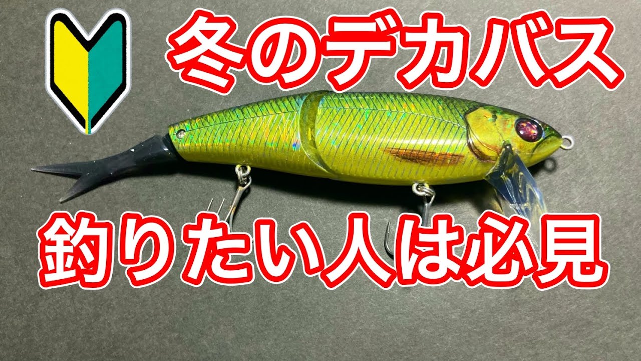 Winter Lake Biwa Bass Fishing] How to use Nekosogi DSR and the