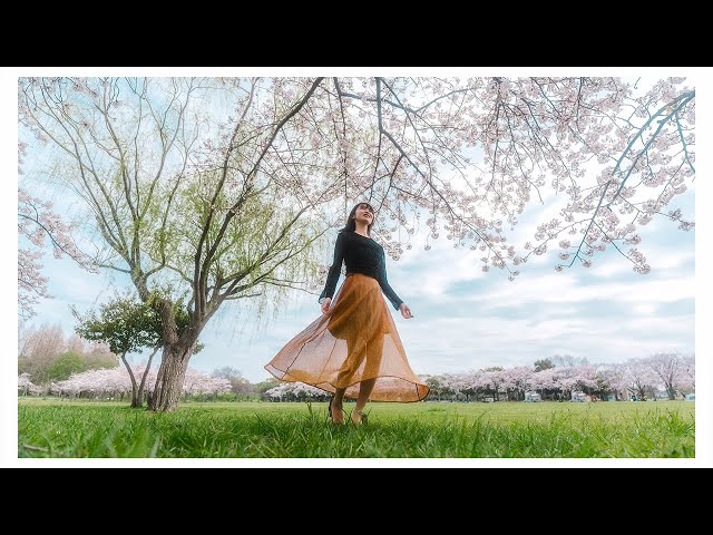 α:レンズレビュー FE 16-25mm F2.8 G 作品 by SHINYA SATO氏【ソニー