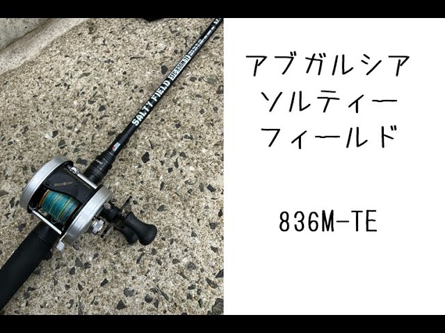 ソルティーフィールド836M-TE】魚が釣れないのでレビューでも【アブ