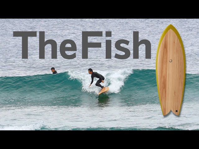 ツインフィッシュ】ショートボード中級者が乗るとどうなる？nanazero
