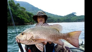 西表島釣り遠征④【マングローブジャック編】動画付