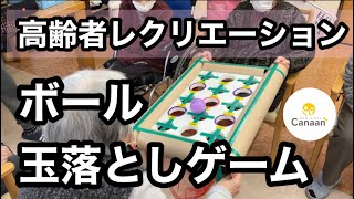 デイサービスレク】【高齢者レクリエーション】簡単・玉落とし・ボール
