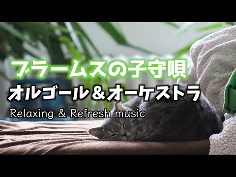 著作権フリーBGM】ブラームスの子守歌 癒しのオルゴールオーケストラ