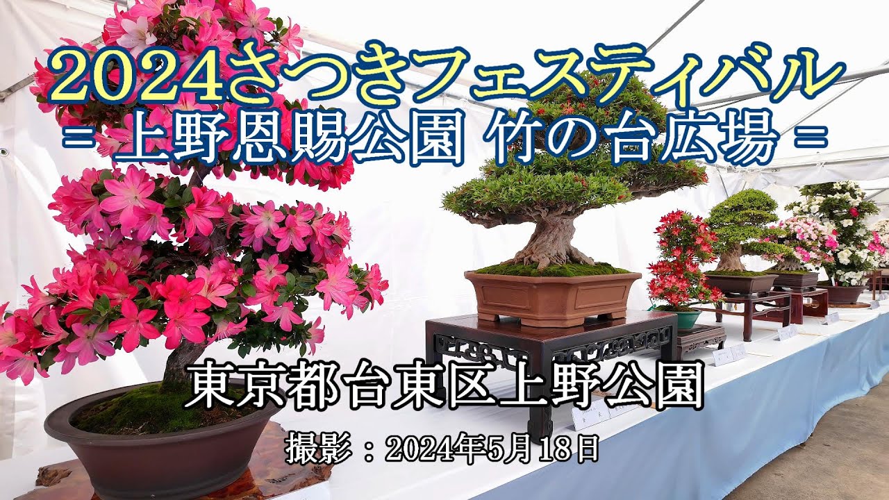 2024さつきフェスティバル = 上野恩賜公園 竹の台広場 = [4K] 2024
