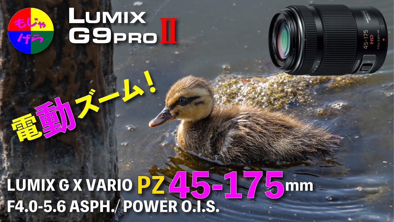 G9PROⅡ] LUMIX G X VARIO PZ 45-175mm/F4.0-5.6 ASPH./ POWER O.I.S.
