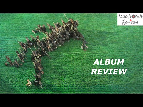 Squid - Bright Green Field ALBUM REVIEW - YouTube
