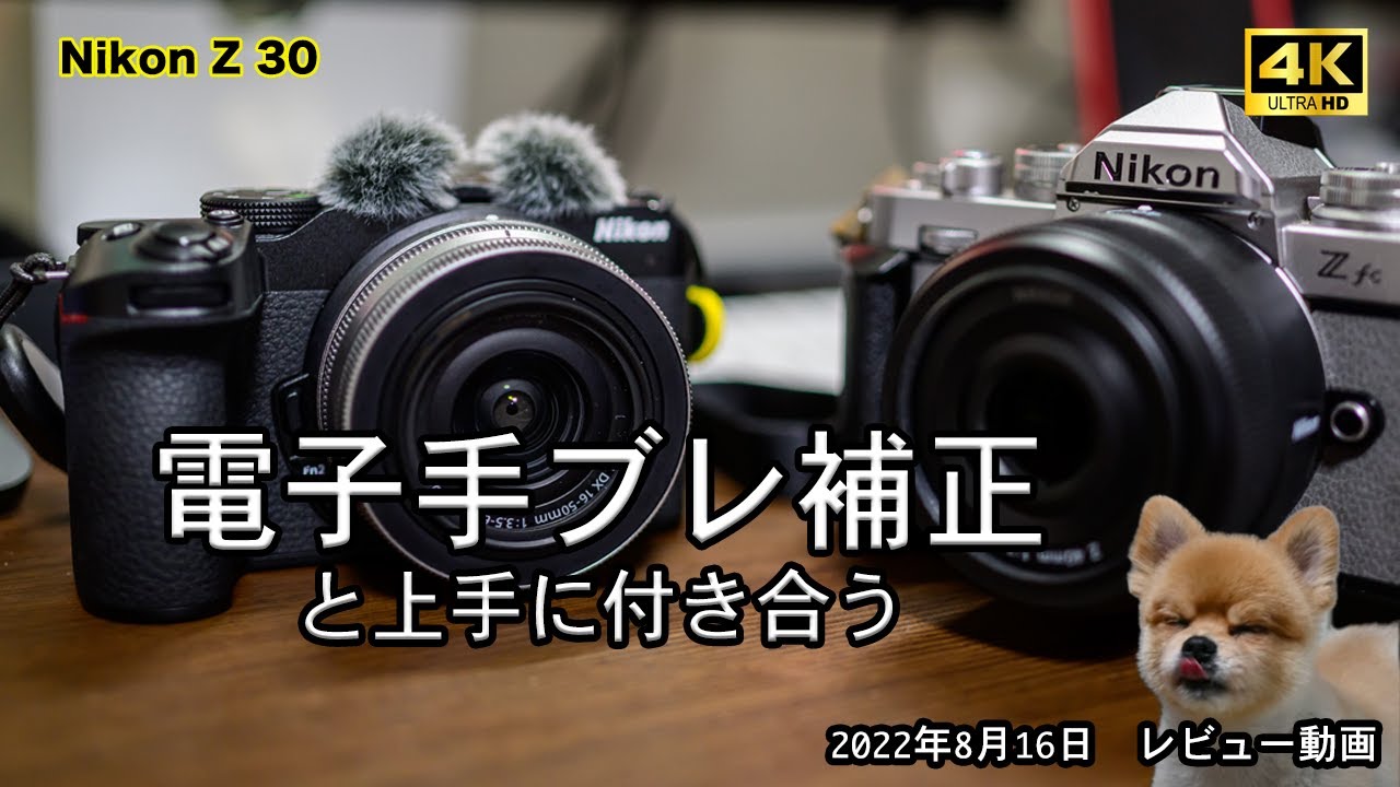 電子手ブレ補正】と上手に付き合う /Nikon Zfc / Z30 /レビュー/ - YouTube