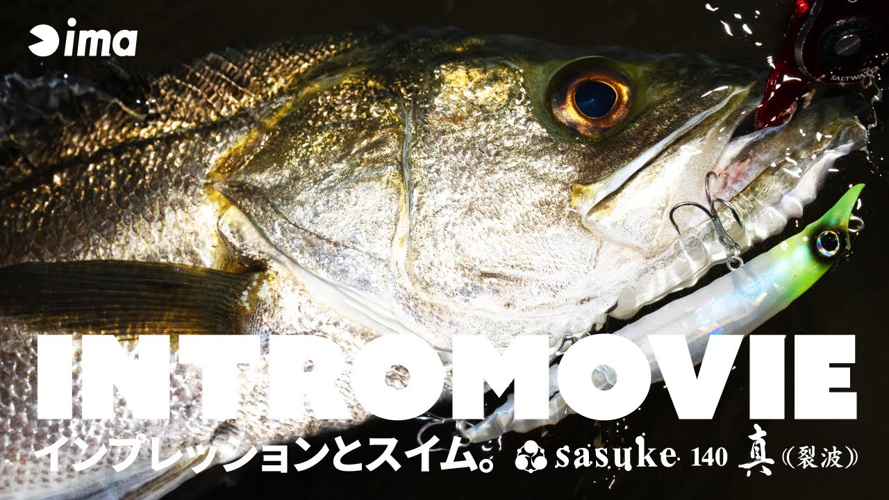 INTRO】sasuke 140 真裂波 | インプレッションとスイム。 - YouTube