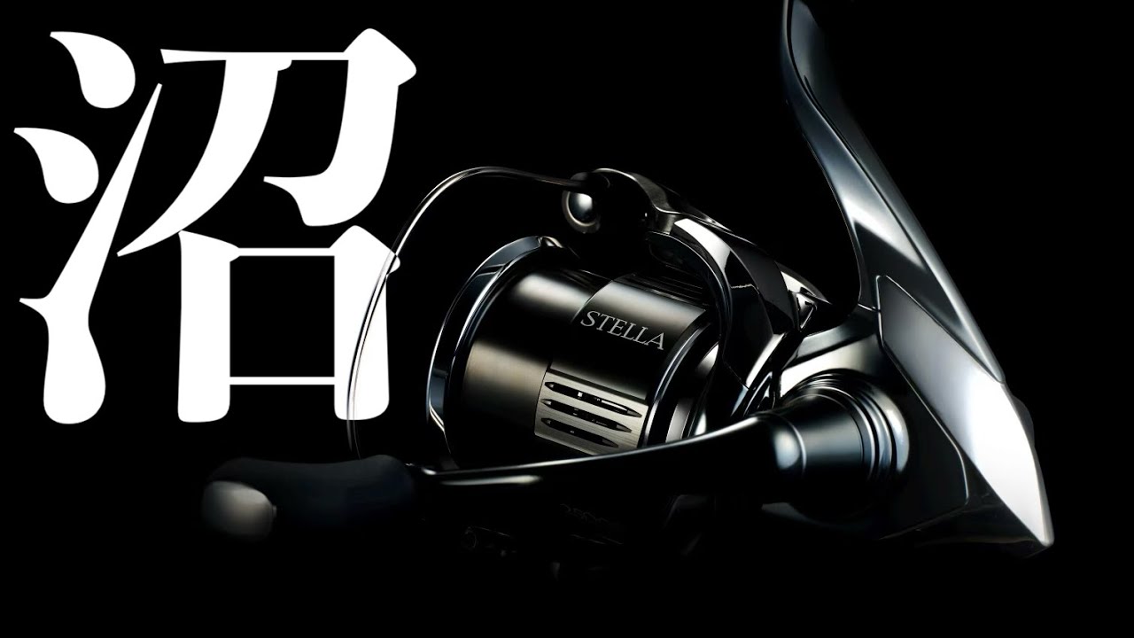 Be careful with Shimano's Stella. You'll fall into the swamp