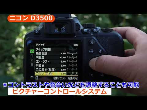 ニコン D3500 18-55VR レンズキット | デジタル一眼レフ