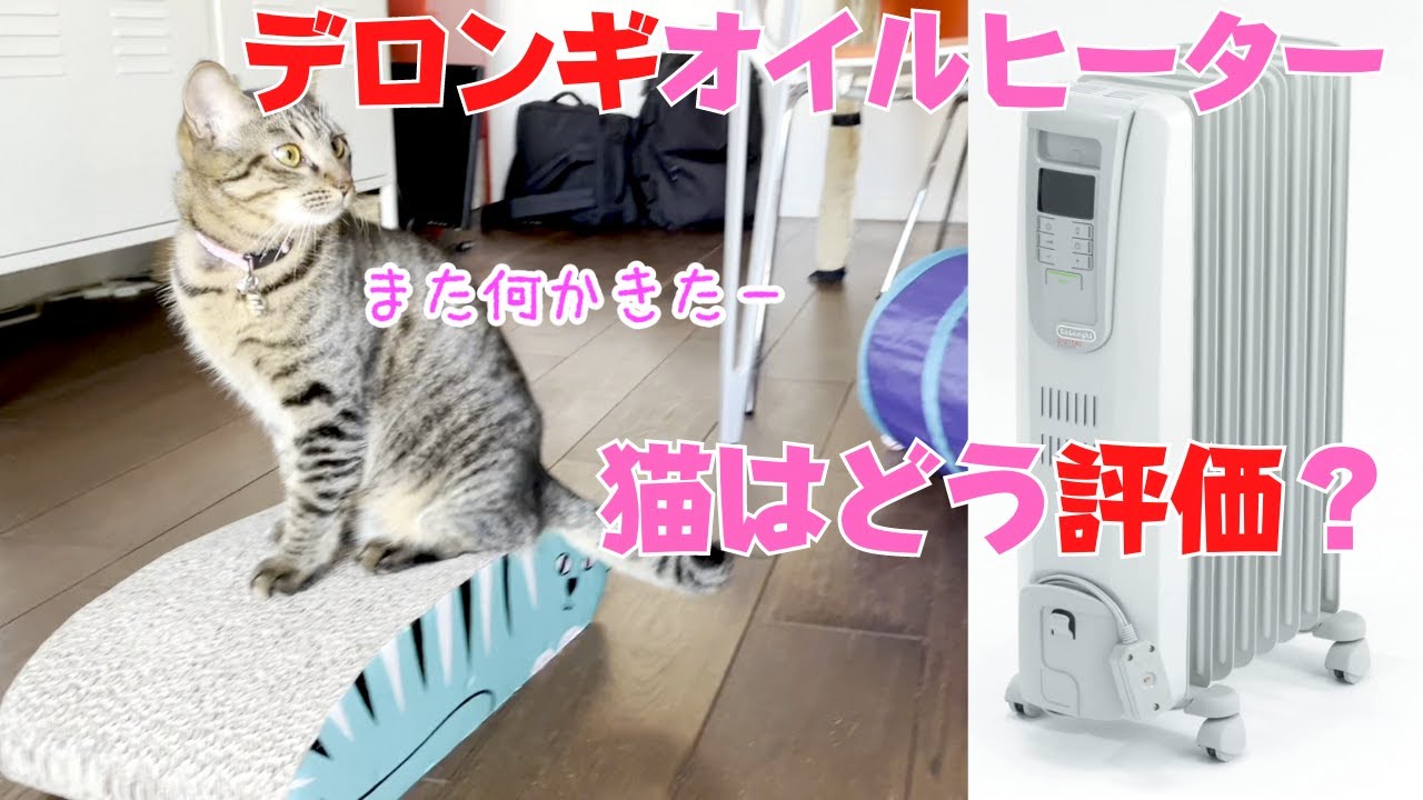 猫と商品レビュー】デロンギ デジタル ラディアント オイルヒーター