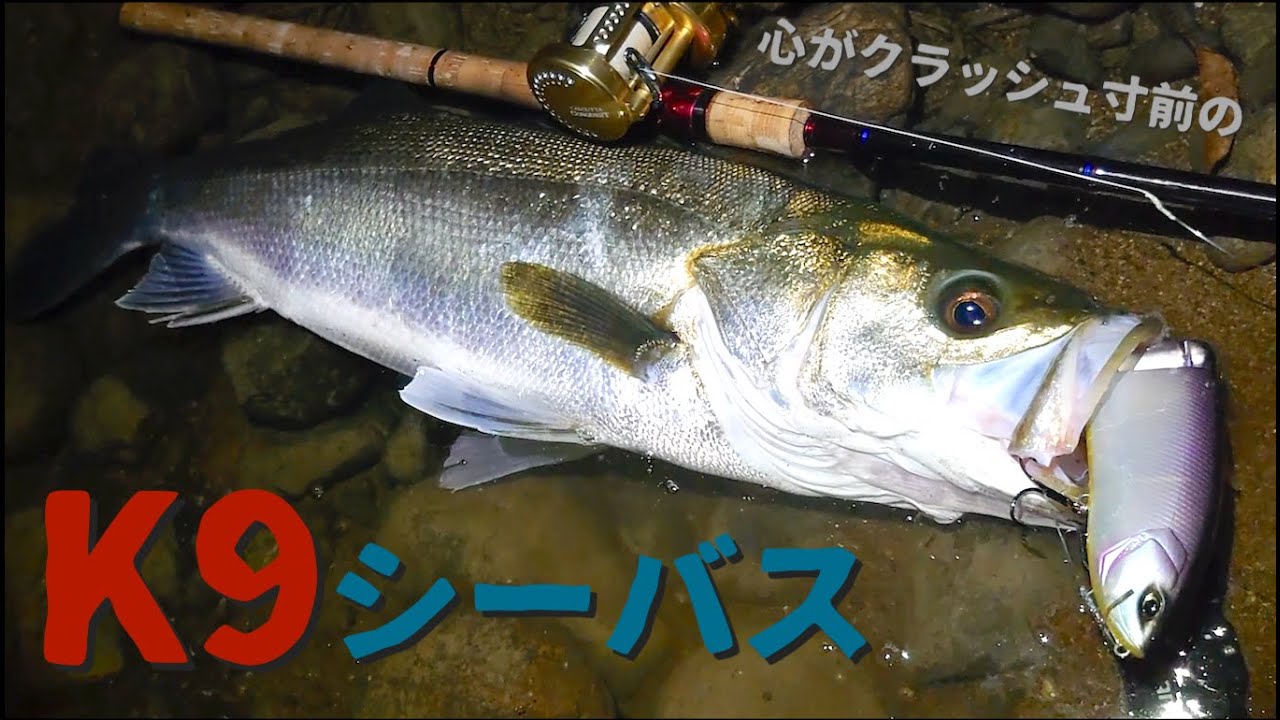 ビッグベイトシーバス】KLASH9 is a lure for catching Monster Fish