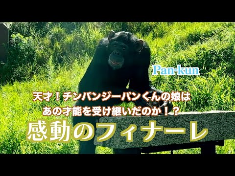 パンくん宮沢さんTV - YouTube