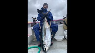 相模湾マグロ釣り 🎣 2025年10月11日キハダマグロ35kg - YouTube