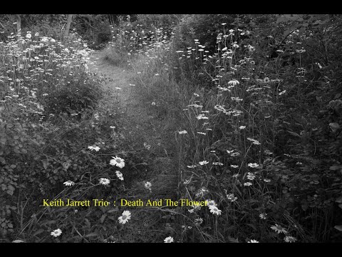 Keith Jarrett Trio : Death And The Flower - YouTube