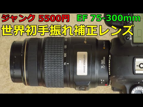 ジャンクレンズ買い物】5500円 CANON EF75-300mm IF USM 動作検証