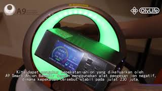 OLYLIFE INTERNATIONAL