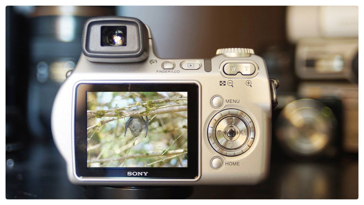 Retro Digicams: Sony DSC-H7 - YouTube