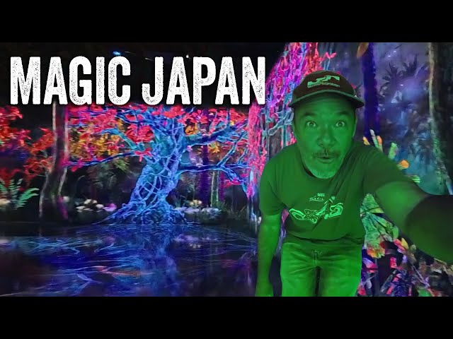 Totoro's Forest to TeamLab Amazing! | P47 Day 26 Fukuoka - YouTube