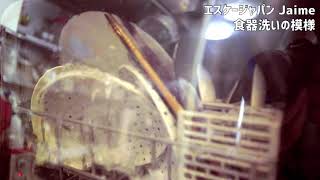 レビュー】エスケイジャパン Jaime：工事不要の食洗機は買わなかった