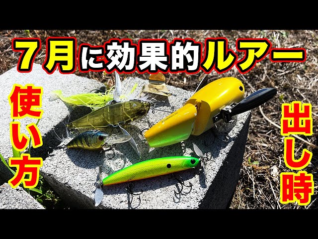 バス釣り】7月おすすめハードルアーを紹介！使い所や初夏・急な雨での