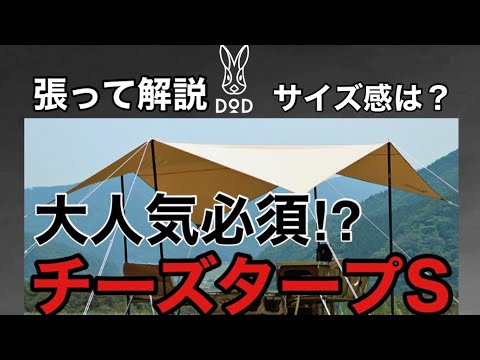 DOD/A must-have for the most popular item!] Cheese Tarp S