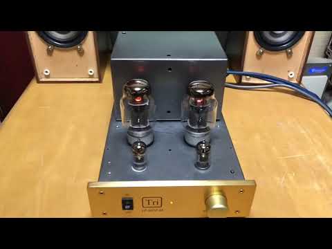 オーディオ試聴動画 Triode トライオード 真空管アンプ VP-MINI88 KT88
