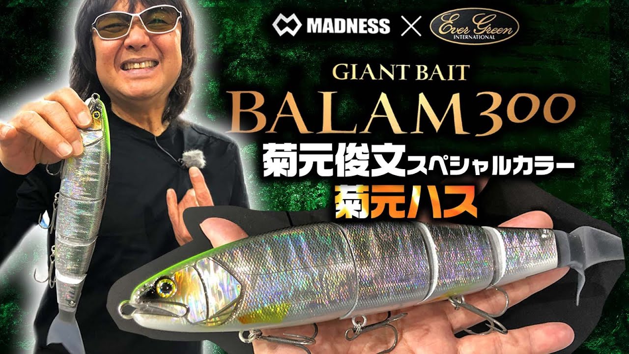 Balam 300 Kikumoto Toshifumi color [Madness x Evergreen] Kikumoto
