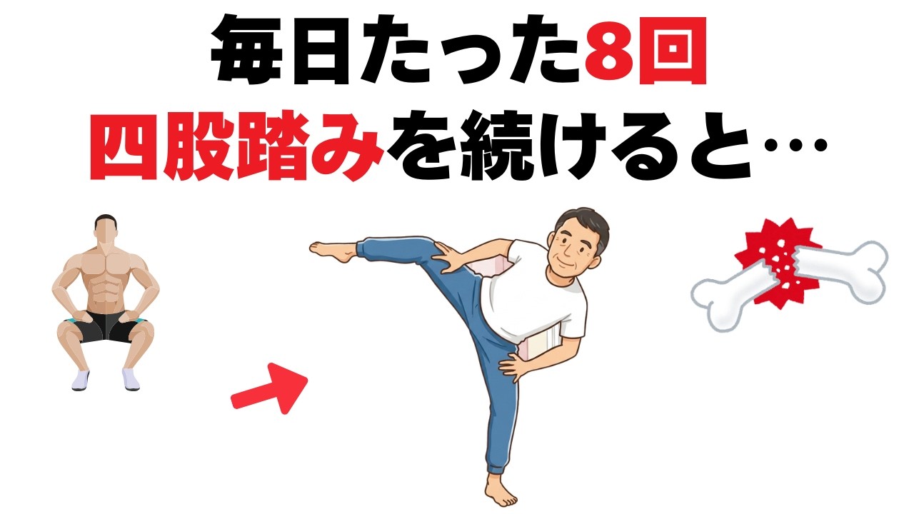 BOCCO2.0 折りたたみ式ストレッチポール トレーニングのための