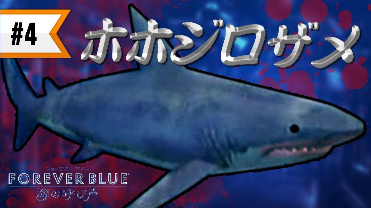 FOREVER BLUE 海の呼び声 #4 沈没船でホホジロザメと対決!? - YouTube